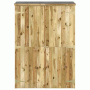 Abri à outils de jardin 123x45x171 cm Bois de pin imprégné Modèle AbriContemporain 55 - 8720286830130