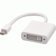 Convertisseur mini displayport vers dvi-d 127376