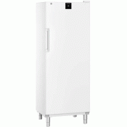 Armoire réfrigérée négative blanche - Statique SmartFrost - 332 L | Liebherr - FFFsg 6501 Performance