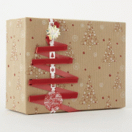 Papier cadeau Celebration 0,69X50m