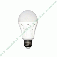 AMPOULE LED 6W 10-30VDC CULOT E27