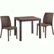 Ensemble de 2 chaises avec une table carrée en rotin marron - marron plastique polypropylène 8050054388410