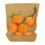 Sachet à large fenêtre papier kraft naturel 20x24/21x3,5cm - par 100