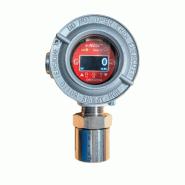 Détecteurs de gaz RAS/DY - Réf. : OGG0002 - ATEX certifié II 2 G Ex d IIC T6 - IP65