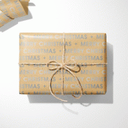 Papier cadeau kraft Merry Christmas argent métal 0,50x50m