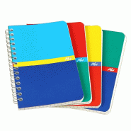 CONQUERANT Connex 100103118 Office Cahier à spirales quadrillées en polypropylène 50 pages Format A5 - 3020120070902