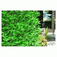 Haie bambou 3d - vert - 1m x 2m Haie bambou 3d - vert - 1m x 2m