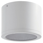 Spot saillie buis ip54 led cob 32 w - diamètre 160 mm angle de 50 ° 3000k coloris blanc