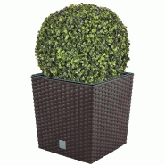WellHome - Lot jardinière 32 L avec boule de buis de 36 cm en coloris chocolat - marron plastique PK3895