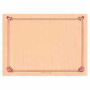 Set de table en pure cellulose 48g/m2 saumon avec liseré 31x43cm - par 2000