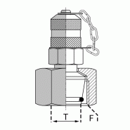 Prise de pression orientable DKO DIN 24° - Série S - 10 , 18X150