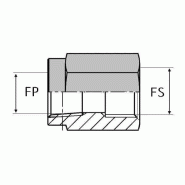 Adaptateur droit femelle NPT x femelle SAE - 3/8' , 14.41 , 7/8' , 20.26