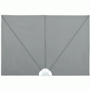 VidaXL Auvent latéral pliable de terrasse Gris 300 x 200 cm Modèle Jardin Upsilon Plus - gris 44565