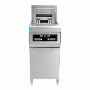 Friteuse professionnelle