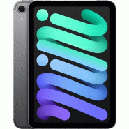IPad Mini 8,3 128Go Wifi (2024) - Gris sidéral