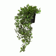 Plante artificielle / plante suspendue EPIPREMNUM CLIMB Lierre 50 cm vert hjh OFFICE - vert plastique 871068