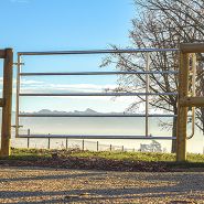 Porp1n - barrière agricole galvanisée - porte de prairie 1-1m70