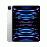 IPad Pro 12,9p M2 2To Wifi - Argent
