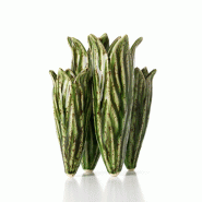 Bazar Bizar Vase en grès cérame 16.5x16.5x26 cm vert forêt - CNWE001FGr Bazar Bizar Vase en grès cérame 16.5x16.5x26 cm vert forêt - CNWE001FGr