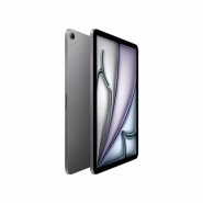 IPad Air 11p M4 1 To celllular - Gris sidéral