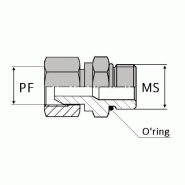 Adaptateur droit femelle tournant NPSM x mâle SAE - NPT-FNPSMMS0404 - Avec joint o'ring