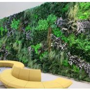 Mur vegetal acoustique