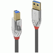 LINDY Câble USB USB 3.2 Gen1 (USB 3.0 / USB 3.1 Gen1) Connectique USB-A, Connectique USB-B 1 m Gris 36661 - 4002888366618