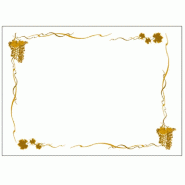 Set de table papier blanc Bacchus 31x43cm - par 2000