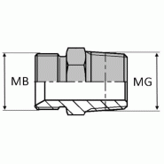 Adaptateur droit mâle BSP pour bague BS x mâle gaz conique - 3/4' , 26.44 , 1/4' , 13.15