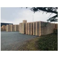 Fabrication de palettes standard sur-mesure