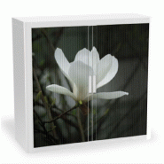 Armoire à rideaux avec décor nature - EasyOffice. - Edelweise, Basse_0