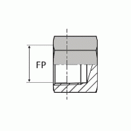 Bouchon femelle NPT tête hexagonale - OBFNPT 1/8 - Ø 1/8" (8.48 mm)