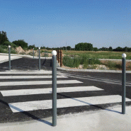 Pack 50 Potelets Ø 76 mm Boule - Vert RAL 6005, PMR_0