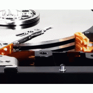 Western Digital Blue WD5000LP disque dur 500 Go 5400 tr/min 128 Mo 2.5" Série ATA III