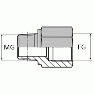 Adaptateur droit mâle gaz conique x femelle gaz cylindrique prolongé - 3/4' , 26.44 , 1" , 30.29