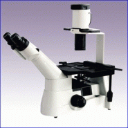 Microscope inversé