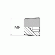 Bouchon mâle NPT 6 pans creux - 3/4' , 26.56