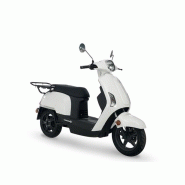 Cargo chic - scooter electrique pour la livraison
