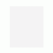 Papier alimentaire cire végétale 2 faces 38x54cm blanc - par 20 kg