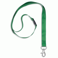 AVERY Boîte de 10 lacets tour de cou, avec mousqueton, coloris vert - 5014702138577