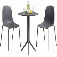 CLP Salon de jardin Torin avec 2 chaises Plastique HBT: 85x162x60 cm Gris foncé - gris 328149
