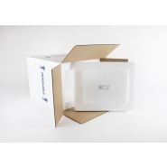 Indicateur de température - Carte ColdChain XS 2-8°C, double indicateur irréversible_1