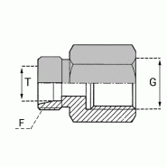 Raccords à bague Femelle gaz (Whitworth) - GUMFG01304 - UMFG 13/1/4 NE