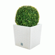 WellHome - Pot 32 L Rato coloris blanc avec boule de buis 36cm - blanc plastique PK3924