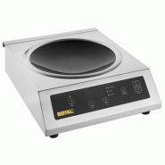 ​​​​​​​Plaque de cuisson puissante à induction pour wok  1 zone, 3000 W, 220 V - MONO