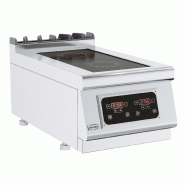 Plaque induction a poser induction cuisiniere electrique 2 plaques - 7178.0330