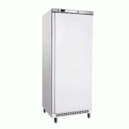 Armoires frigorifiques / contenance 600 l
