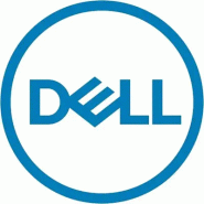 DELL 161-BCFV disque dur 2,4 To 10000 tr/min 2.5" SAS