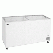 Tefcold Congélateur de crème glacée  IC551SC - 48827