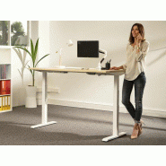 Bureau individuel Lotar - Réglage en hauteur électrique - Dimensions 160x80 cm - Hauteur programmable 62-128 cm Bureau individuel Lotar - Réglage en hauteur électrique - Dimensions 160x80 cm - Hauteur programmable 62-128 cm